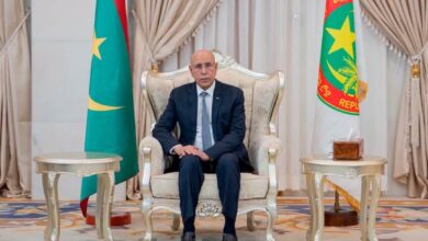 صورة رئيس الجمهورية يستقبل وزير الخارجية الألماني لبحث تعزيز التعاون الثنائي