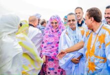 صورة منسقة العمل الحزبي بولاية إينشيري تصل مدينة بنشاب وتواصل لقاءاتها الميدانية مع هيئات الحزب والفاعلين بالمقاطعة