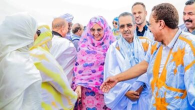 صورة منسقة العمل الحزبي بولاية إينشيري تصل مدينة بنشاب وتواصل لقاءاتها الميدانية مع هيئات الحزب والفاعلين بالمقاطعة